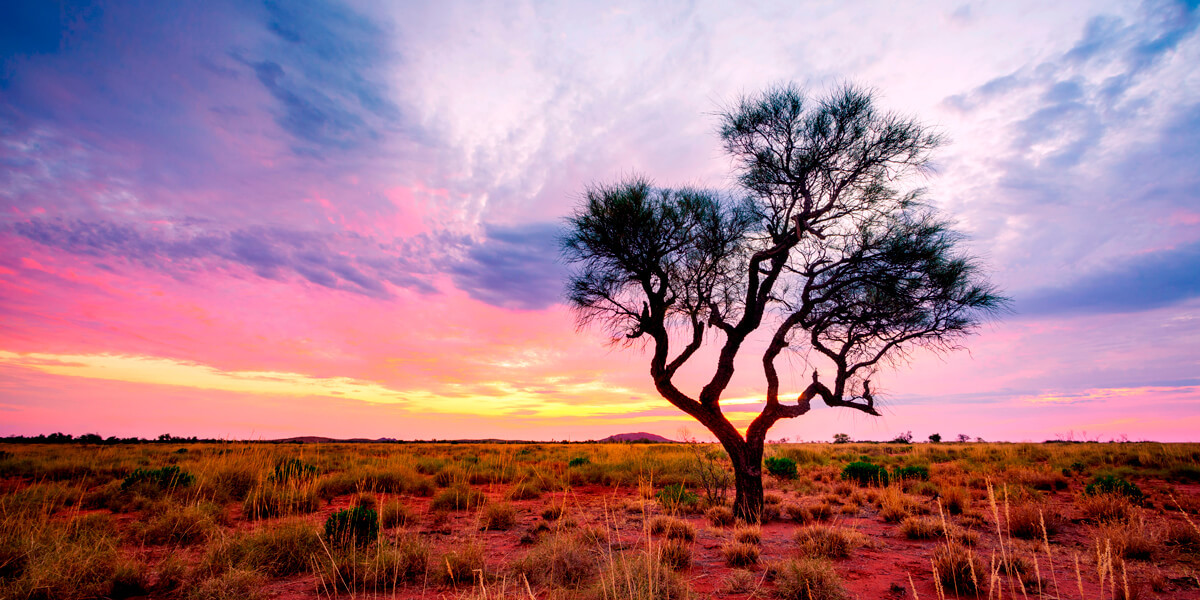 Gap Year Outback Shutterstock 1027890919 1200X600